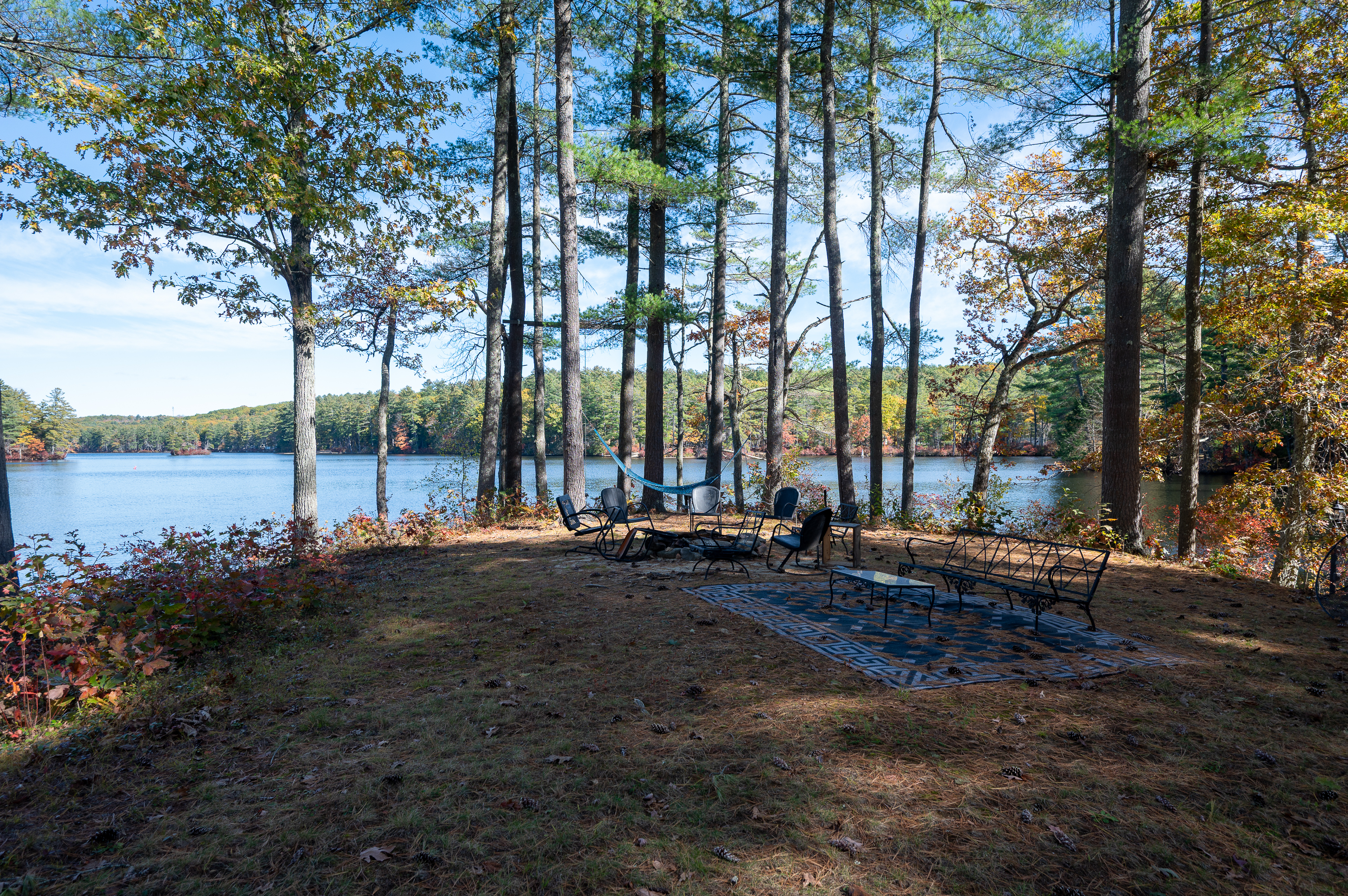 A lakeside campsite with picnic tables surrounded by tall trees.