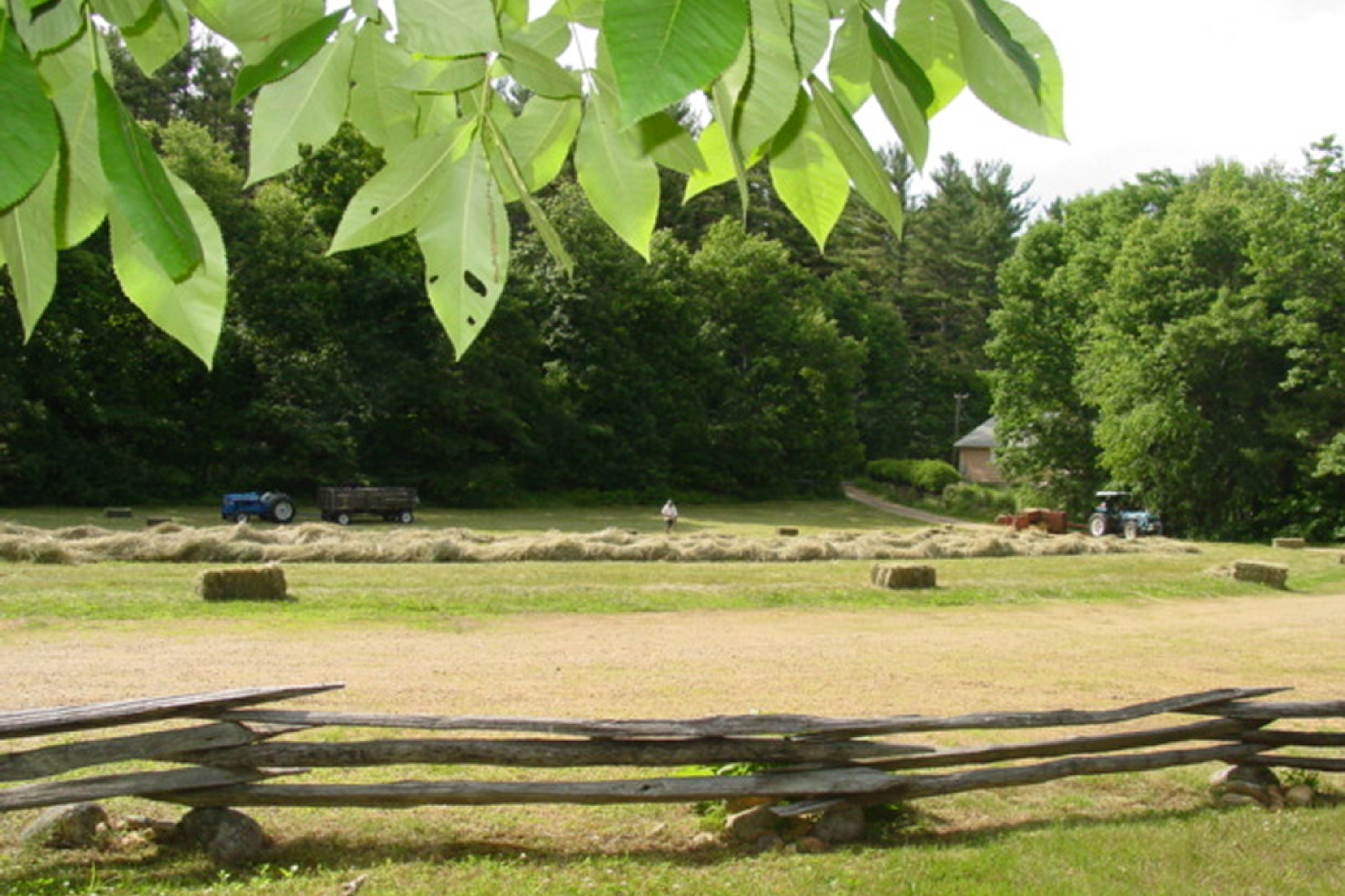 Rustic wooden fence bordering a grassy field with trees in the background.