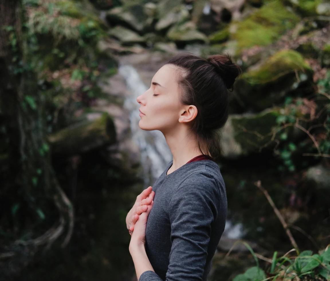 Serenity in a forest setting