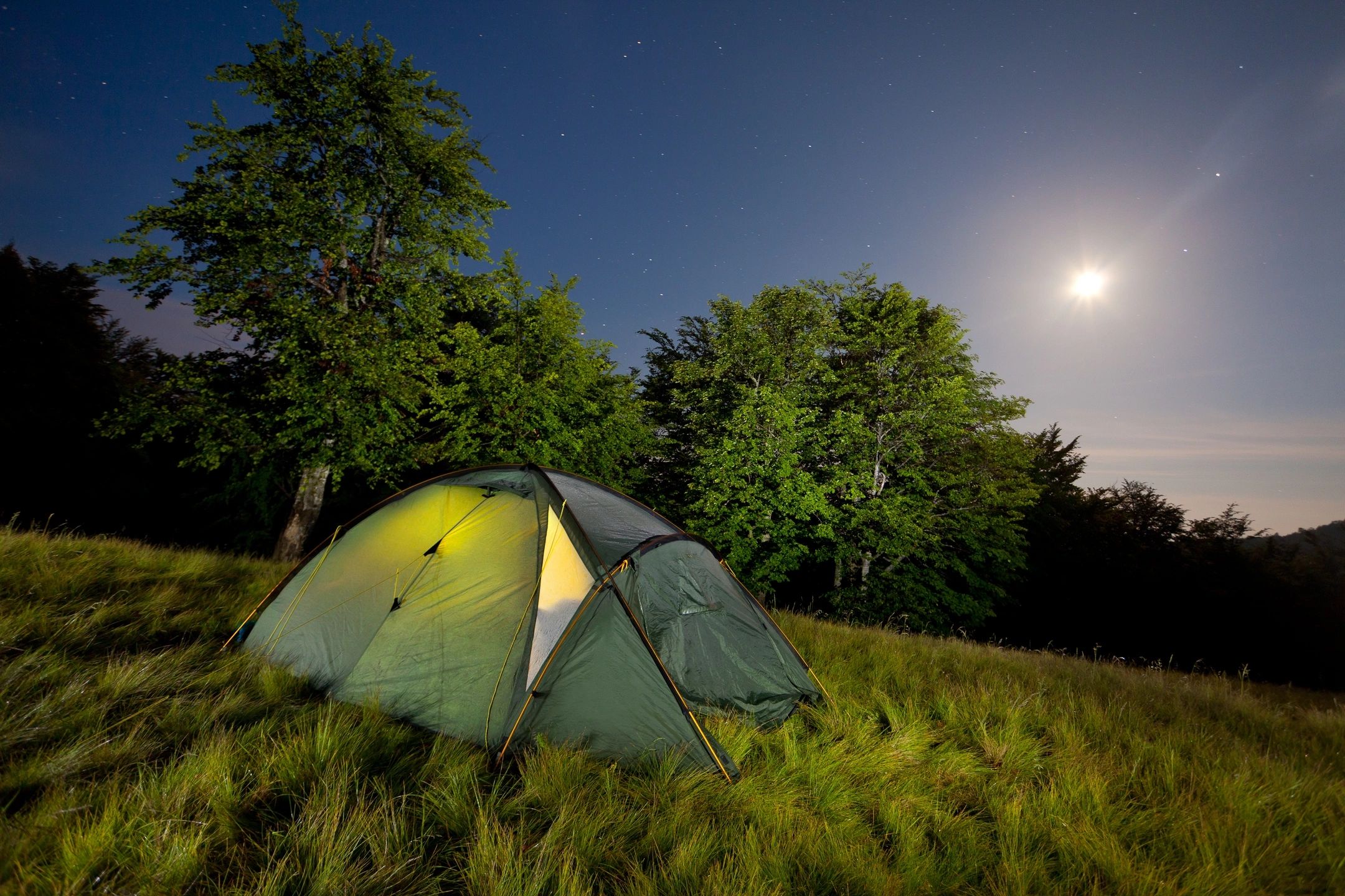 Glowing tent set up in a grassy field under a night sky with trees.
